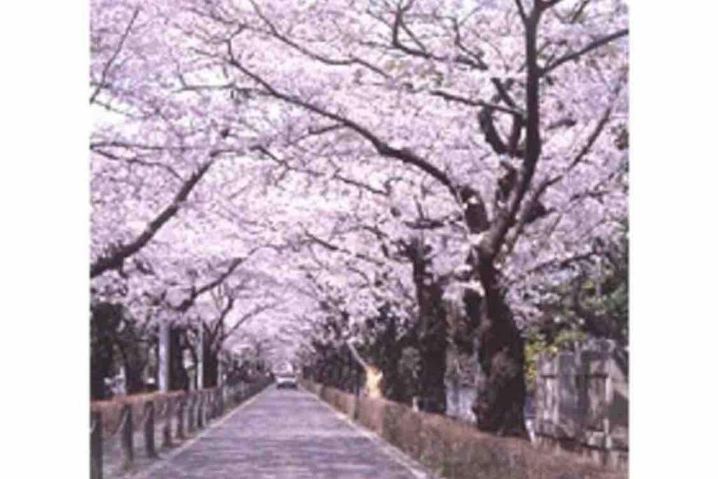 Small Villa Tokyo 渋谷まで2駅10分 青山一丁目駅徒歩3分一軒家ペット歓迎お子様歓迎駐車場あり6人までok Eksteriør billede